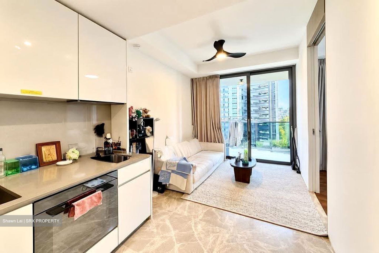 Amber Park (D15), Condominium #619809911